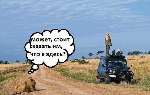 2YALyBG2TvU- Я здесь.jpg