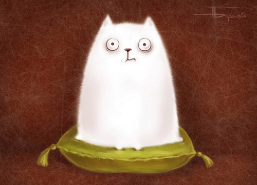 3-кот на подушке.jpg