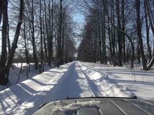 DSCF1669.jpg