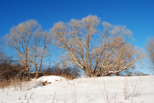 DSC_0870.jpg