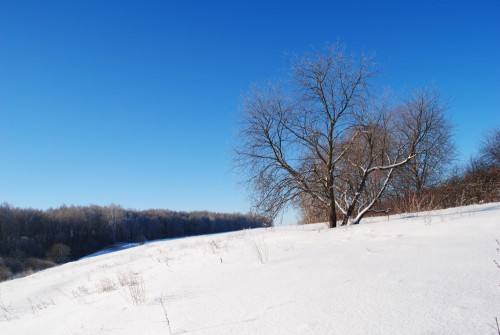 DSC_0875.jpg