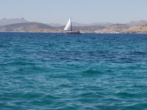getImage (1).jpg