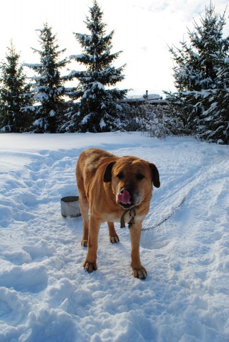DSC_0919.jpg