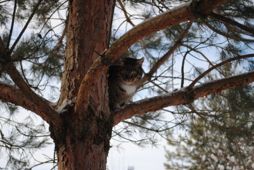 DSC_0929.jpg