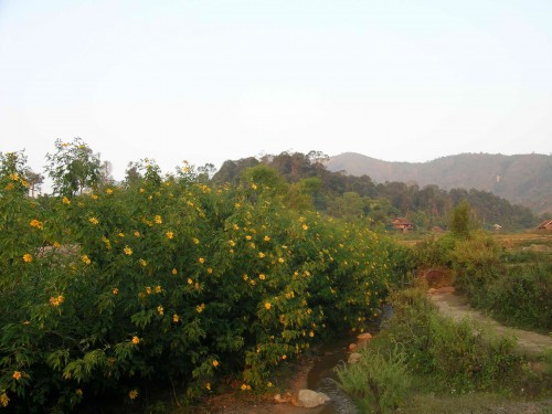 VN07_thu 138.jpg