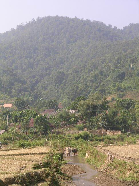 VN07_thu 375.jpg