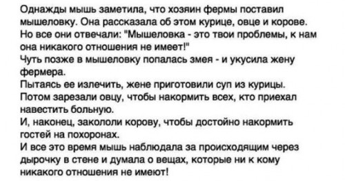 ОДНАЖДЫ МЫШЬ....jpg