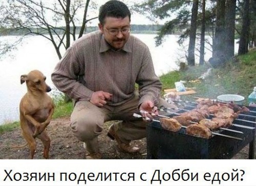 vWyC-bJoOsw.jpg