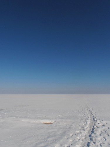 Водохранилище пока во льду