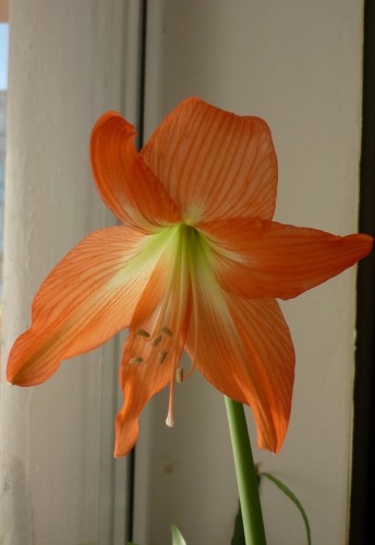 P1110404++.jpg