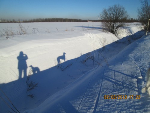 IMG_1683.JPG