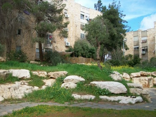 100_2921.JPG