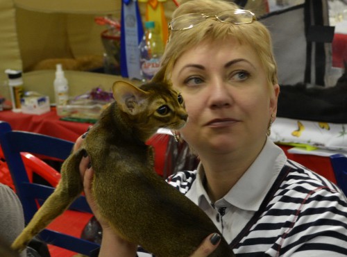 лица3.jpg