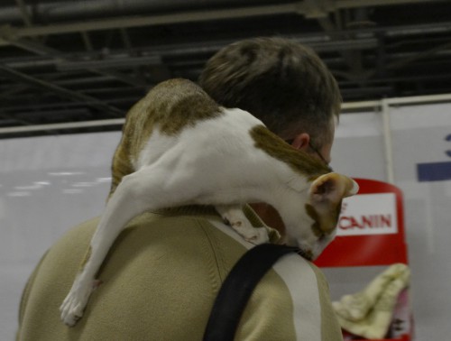 DSC_3623.JPG