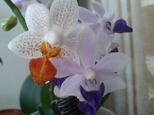 2012-08-11 10.20.55.jpg