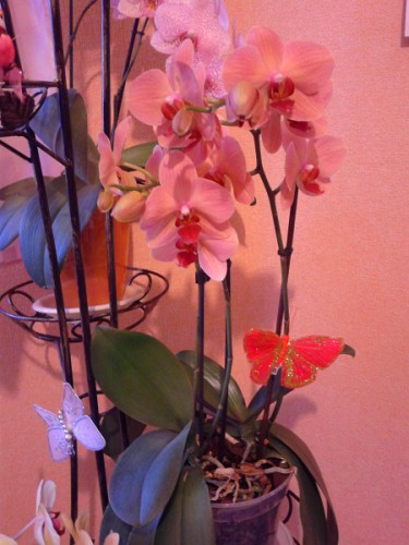 2013-02-28 18.13.21.jpg