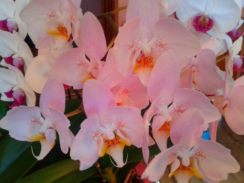 2013-03-28 16.01.55.jpg