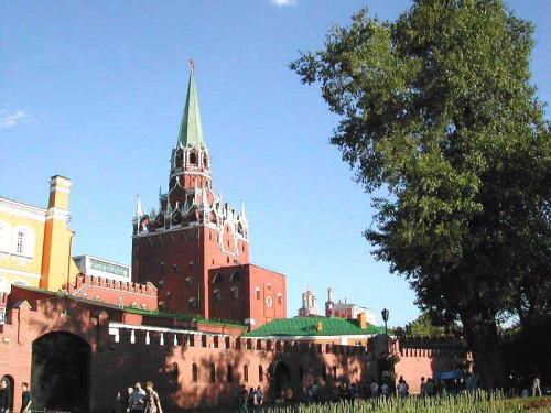 Дерева больше нет...