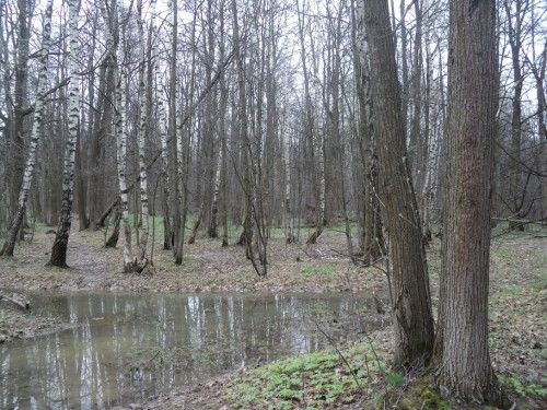 DSC02140.JPG