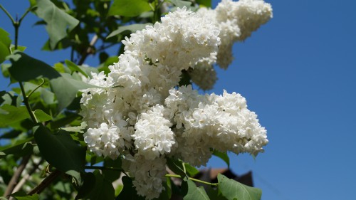 2013-05-05 09-38-52-1.jpg