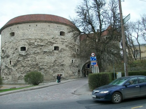 Толстая Маргарита