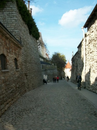 100_3104.JPG