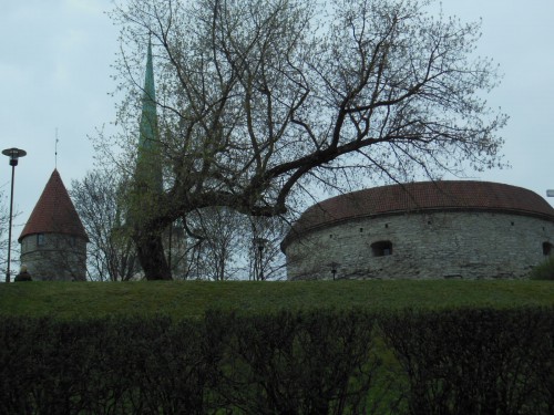 DSCN0133.JPG