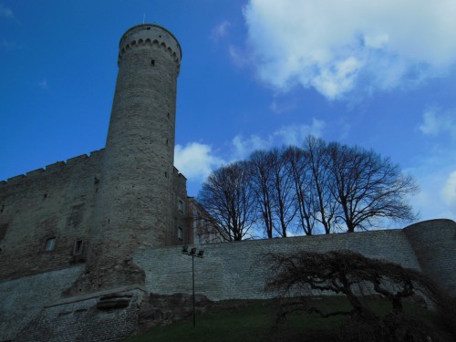 DSCN0242.JPG