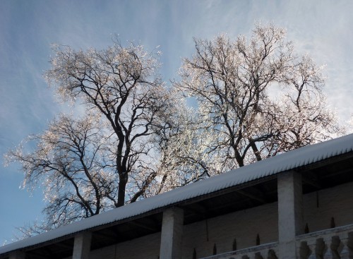 Новый Иерусалим, заледенелые деревья.