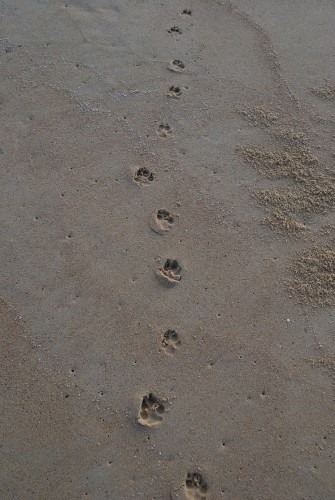 натоптала, тихонечко ухожу. :)