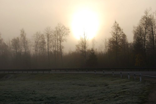 7868af41be9496315d73947dbcd6e0e4.jpg