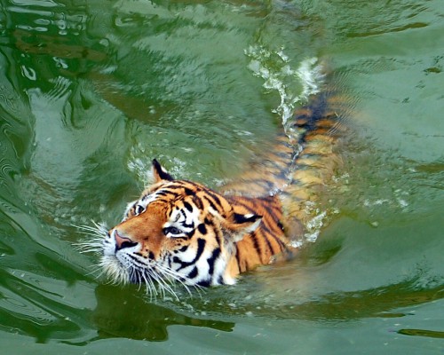 Изображение 04711.jpg