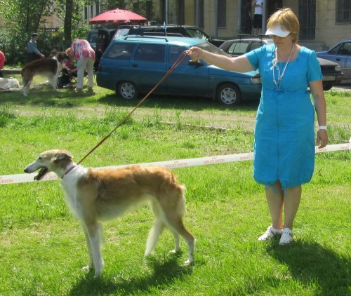 хендлер.jpg