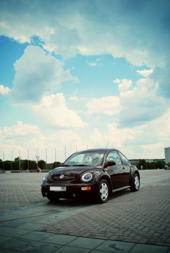 GFRANQ_NEWBEETLE414_38932093_WAX.jpg