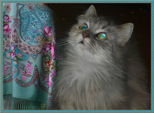 "Княжеский"