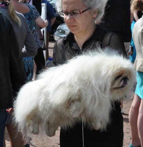 DSC_0351.JPG