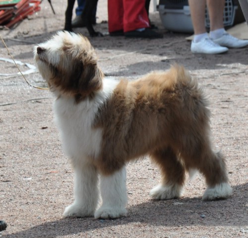 DSC_0388.JPG