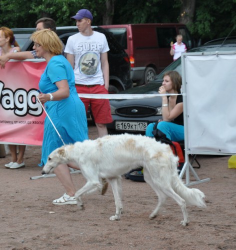DSC_0490.JPG