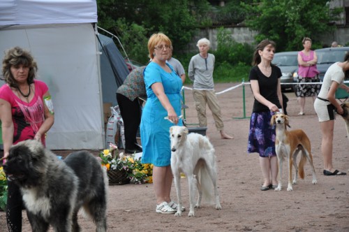 DSC_0572.JPG