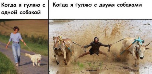 2jvvR9eSKtQ.jpg