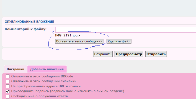 Безымянный.png