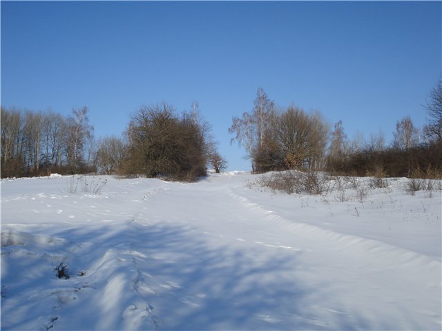 26530e420e80.jpg