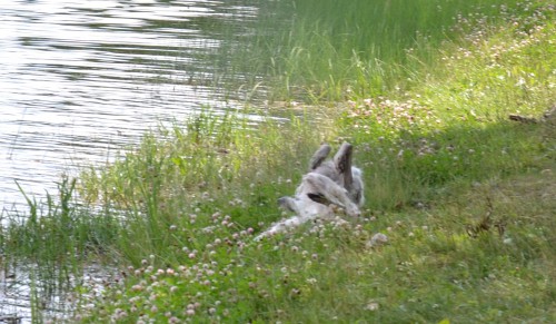 DSC_8357.JPG