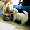 e7e3b9fa400f.gif