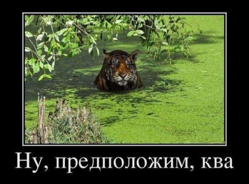 MNnKA.jpg