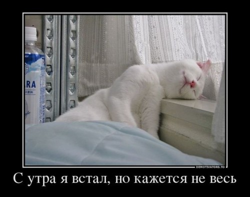 F01Rr.jpg