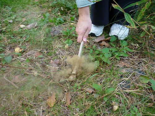 P1120316+.jpg