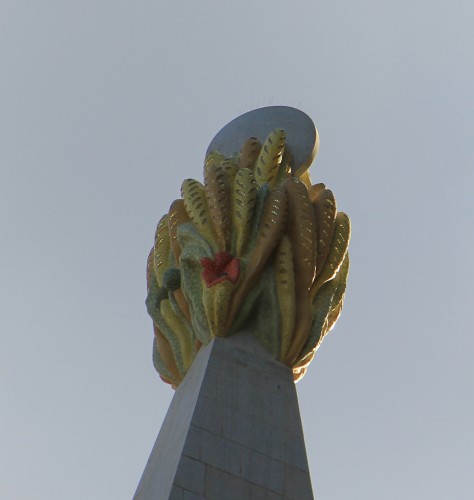 IMG_7870.JPG
