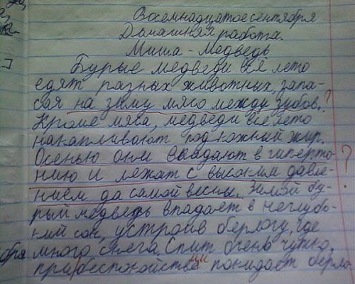медведь.jpg