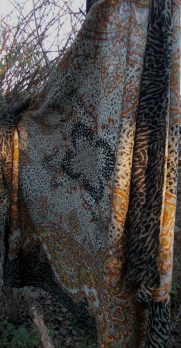 DSCN0294.JPG